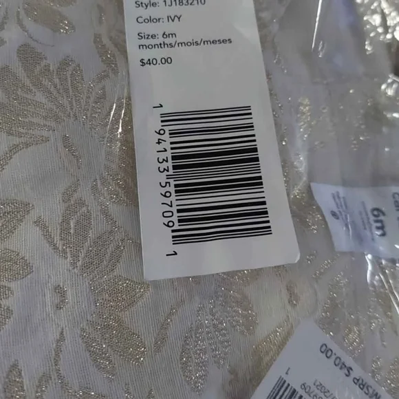 NWT Carter's Ivory Brocade Cap Sleeve Dress Wedding Guest ~6M - Picture 4 of 4
